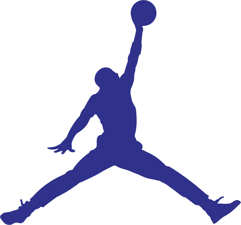 Jumpman Logo t shirts iron on transfers